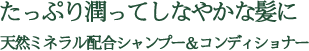 たっぷり潤ってしなやかな髪に天然ミネラル配合シャンプー＆コンディショナー