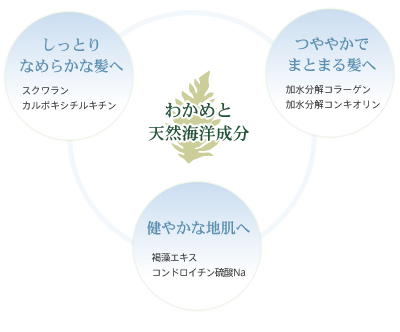 ツヤ-保湿-髪をやわらかく-保護-さらさら-コシ:わかめと天然海洋成分