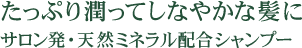 たっぷり潤ってしなやかな髪にサロン発・天然ミネラル配合シャンプー