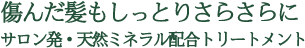 傷んだ髪もしっとりさらさらに。サロン発・天然ミネラル配合トリートメント