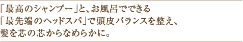 「最高のシャンプー」と、お風呂でできる「最先端のヘッドスパ」で頭皮バランスを整え、髪を芯の芯からなめらかに。