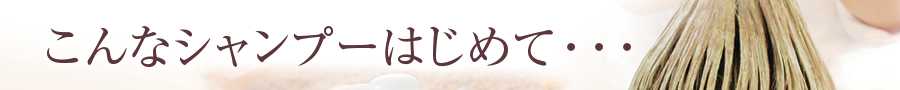 こんなシャンプーはじめて・・・阿波ノ美 -雑誌でおなじみの鳴門わかめ配合シャンプー・コンディショナー