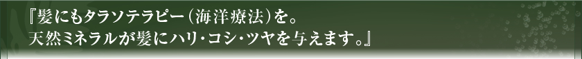 『髪にもタラソテラピー（海洋療法）を。天然ミネラルが髪にハリ・コシ・ツヤを与えます。』