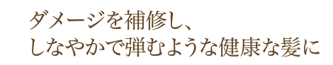 ダメージを補修し、しなやかで弾むような健康な髪に