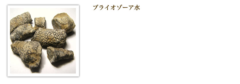 ブライオゾーア水